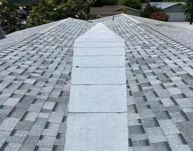 Completed roofing project