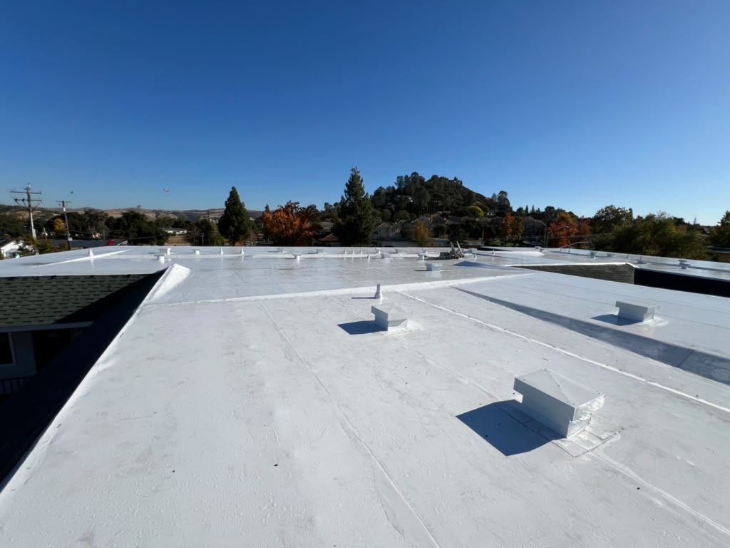 Roofing Project 16